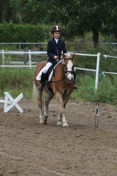 Bild 951 - WBO-Turnier am 18.9.11